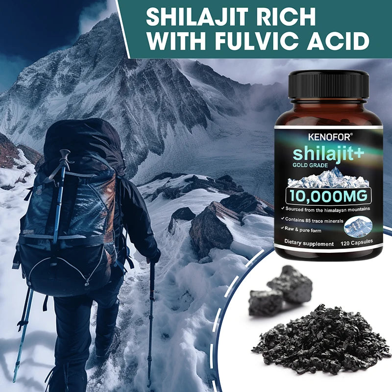 Himalayan Gold Grade Shilajit Capsules – Fulvic Acid & Minerals Mineral Supplement Qst