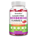 Berberine Gummies – Ceylon Cinnamon & Milk Thistle | 60ct Herbal Gummy Supplement Qst 60 Count-1 bottle