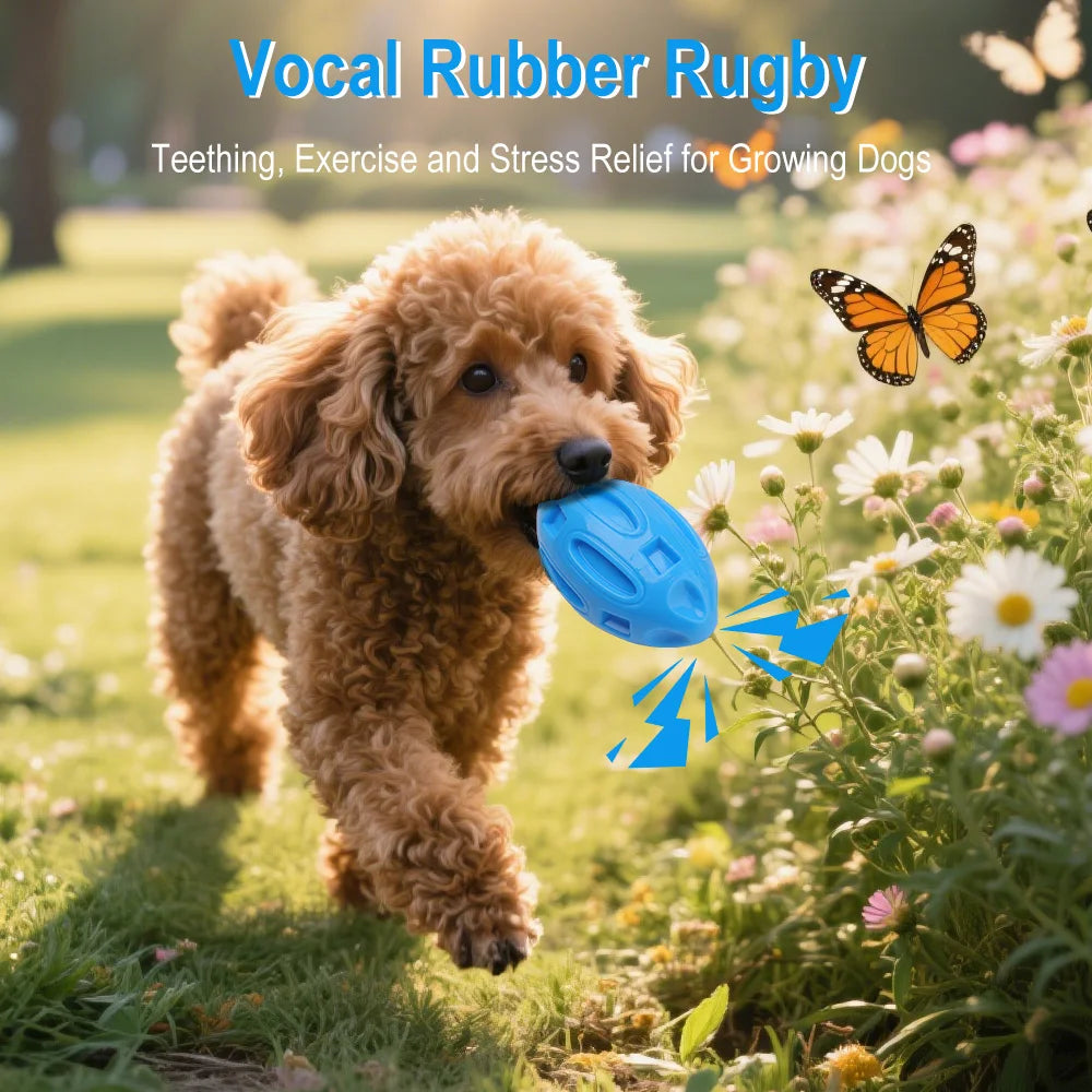 TPR Squeaky Rugby Chew Ball Dog Toy – Medium & Large Dogs Dog Chew Toy Qst