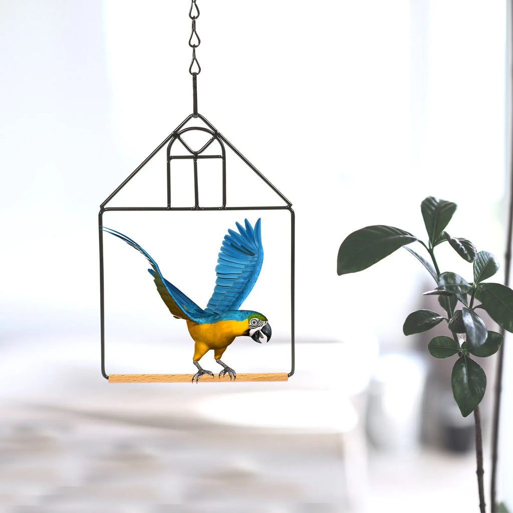 3-Pack Portable Parrot Perch Stand – Indoor Bird Training Rack Bird Perch Stand Qme