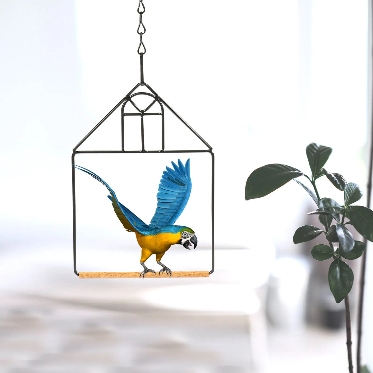 3-Pack Portable Parrot Perch Stand – Indoor Bird Training Rack Bird Perch Stand Qme