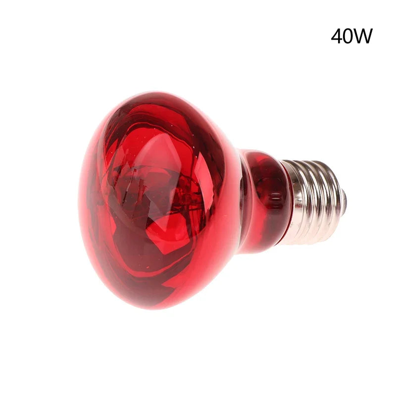 E27 UVA Infrared Poultry & Reptile Bulb – Day & Night Light UVA Reptile Heat Bulb Qme 40W