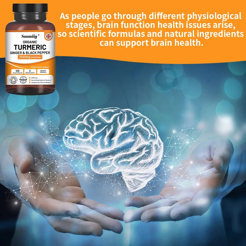 Organic Turmeric Ginger & Black Pepper Capsules | 95% Curcumin Herbal Supplement Capsules Qst