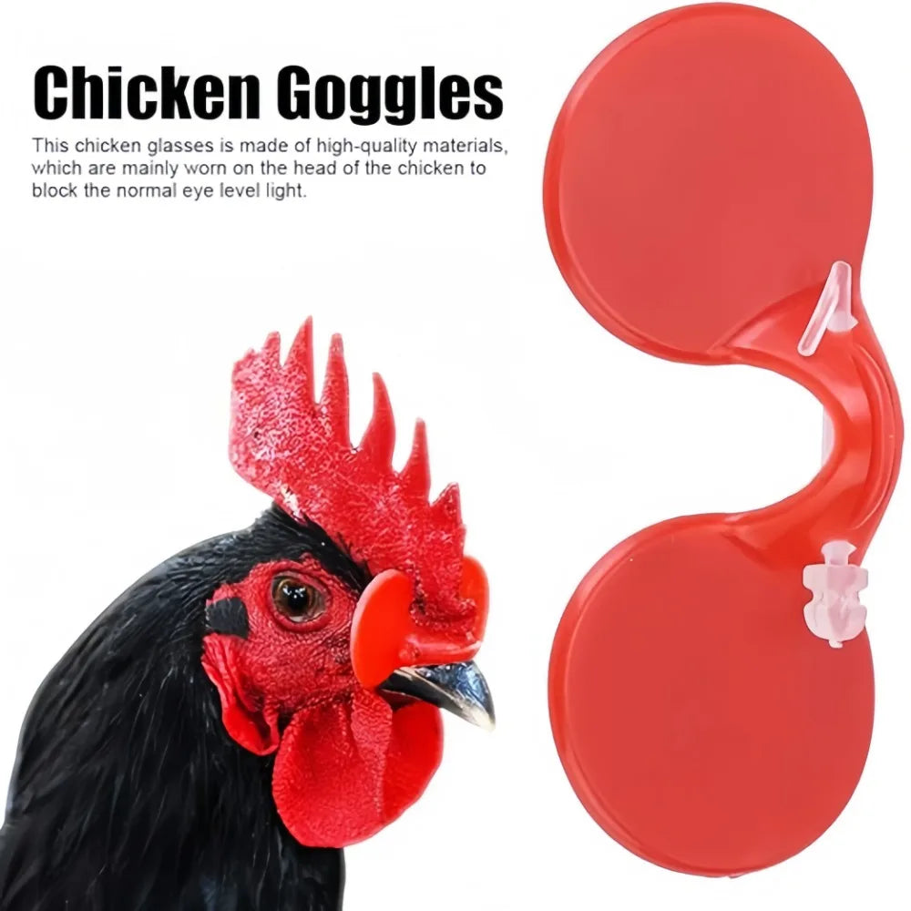 Peck-Resistant Chicken Goggles | Plastic Poultry Eye Protection Poultry Safety Goggles Qme