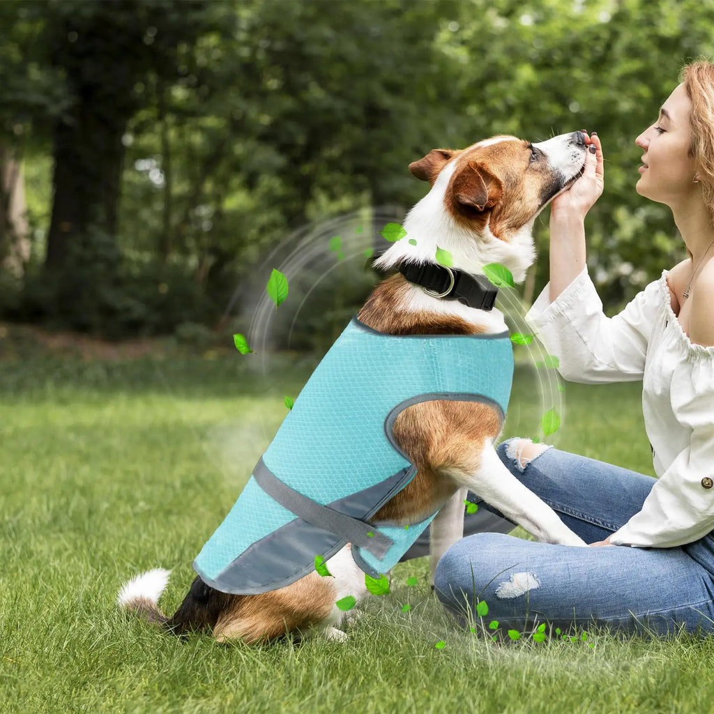 Dog Cooling Harness Summer Vest – UV Protection & Adjustable Dog Cooling Vest Qme