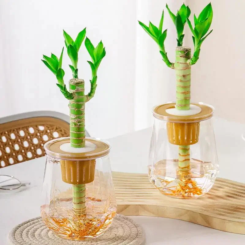 Mini Self-Watering Planter & Fish Tank – Transparent Pot Self-Watering Planter Qme