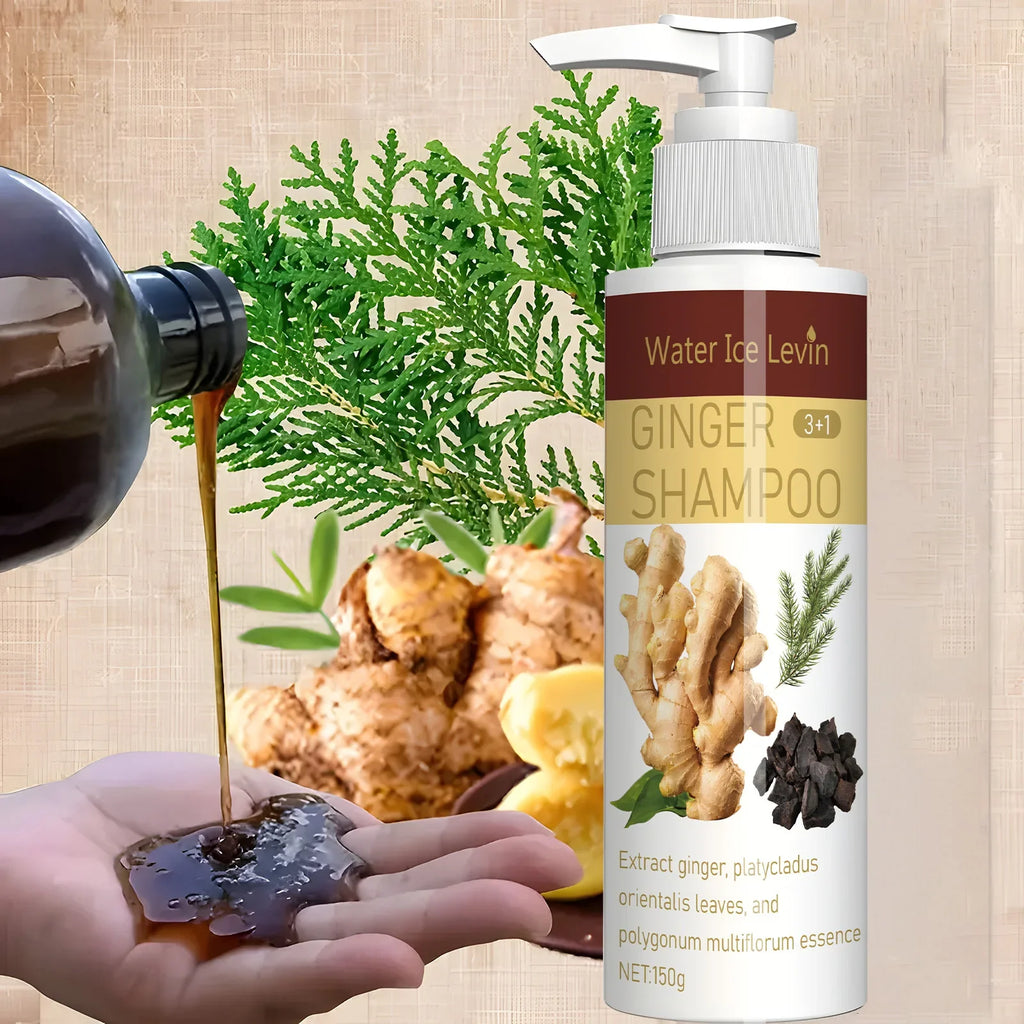 Ginger Regrowth Shampoo – Oil Control & Dandruff Removal Hair Growth Shampoo Qme