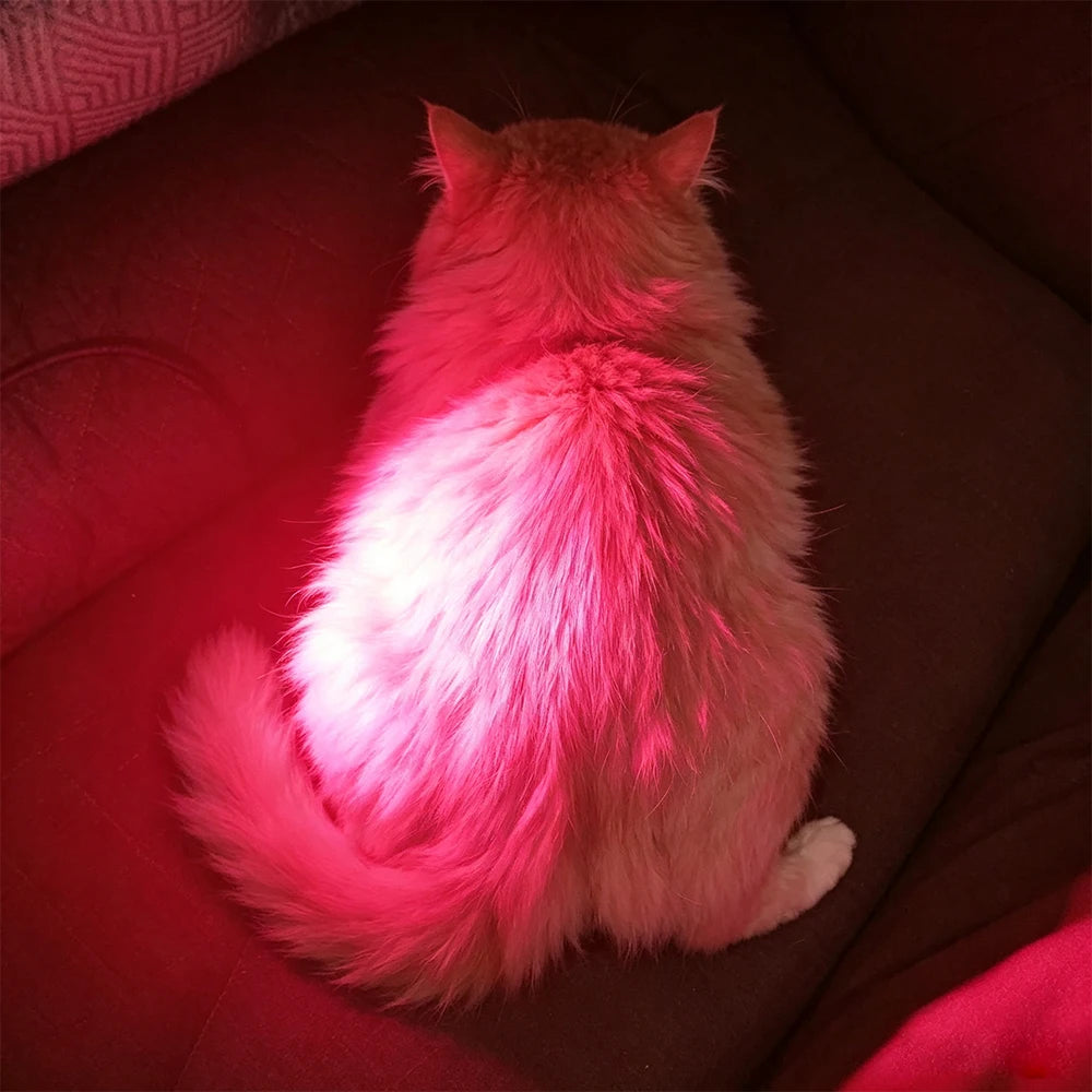 Jecaliz Red Light Therapy Lamp for Pets & Home 660nm 850nm Red Light Therapy Lamp Qst