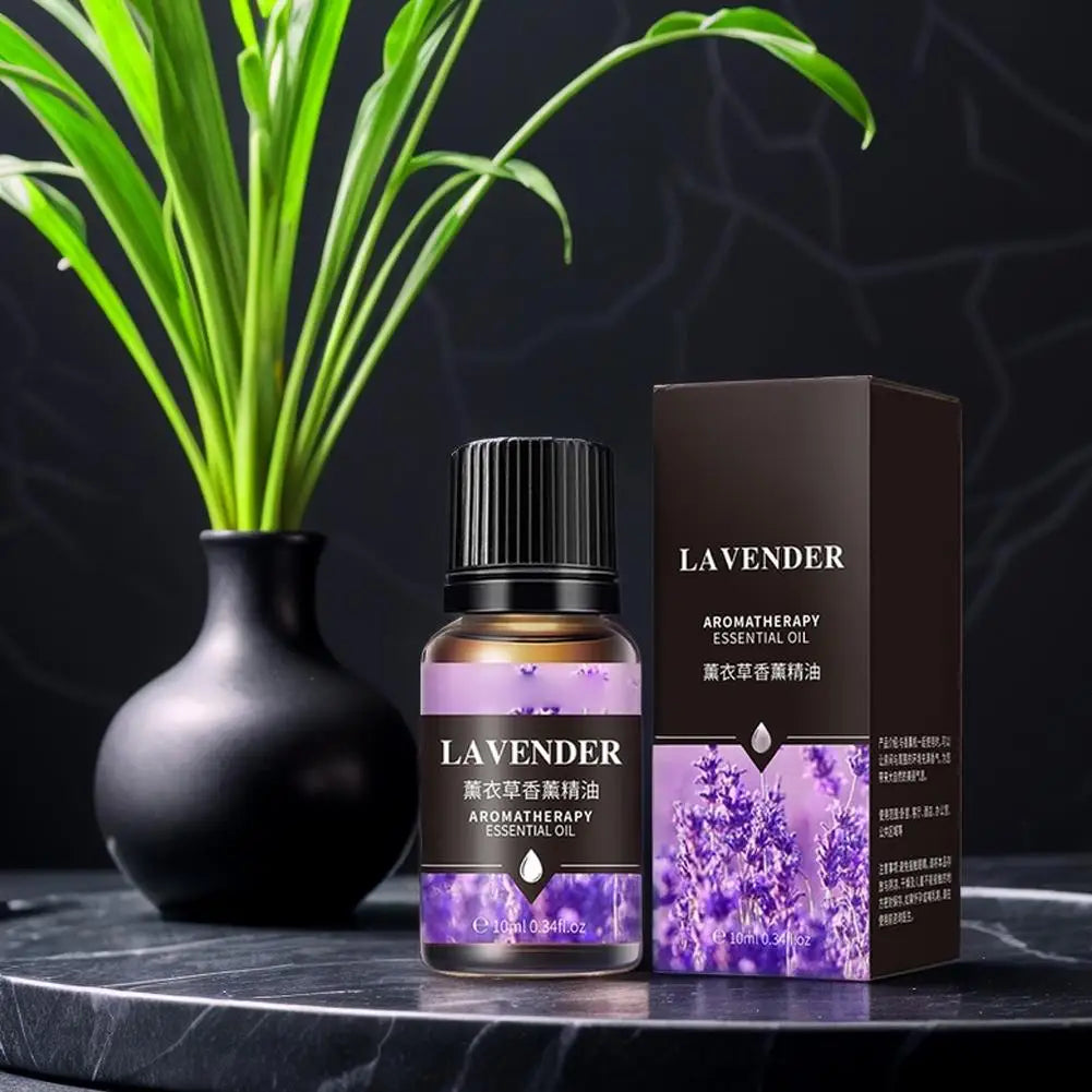 Water-Soluble Essential Oils for Aroma Diffuser & Humidifier 10ml Aromatherapy Essential Oil Qme