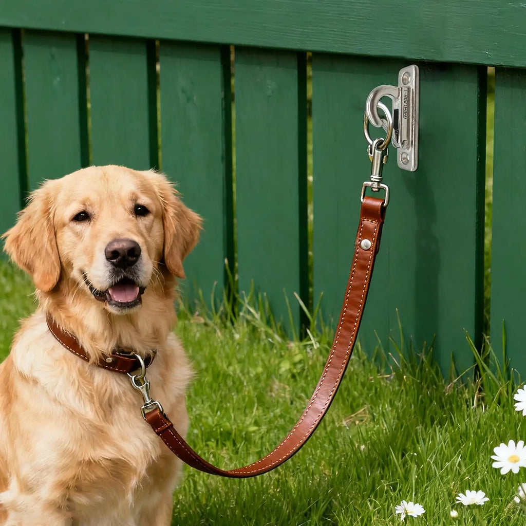 Stainless Steel Dog Leash Holder Wall Hook | Pet Chain Hanger Dog Leash Wall Hook Qme
