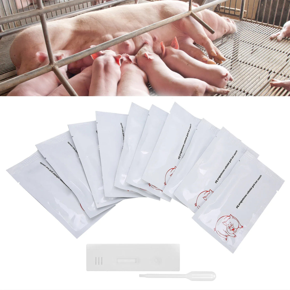 Pig Pregnancy Test Strips | Rapid Progesterone Detection 10pk Livestock Test Strips Qme