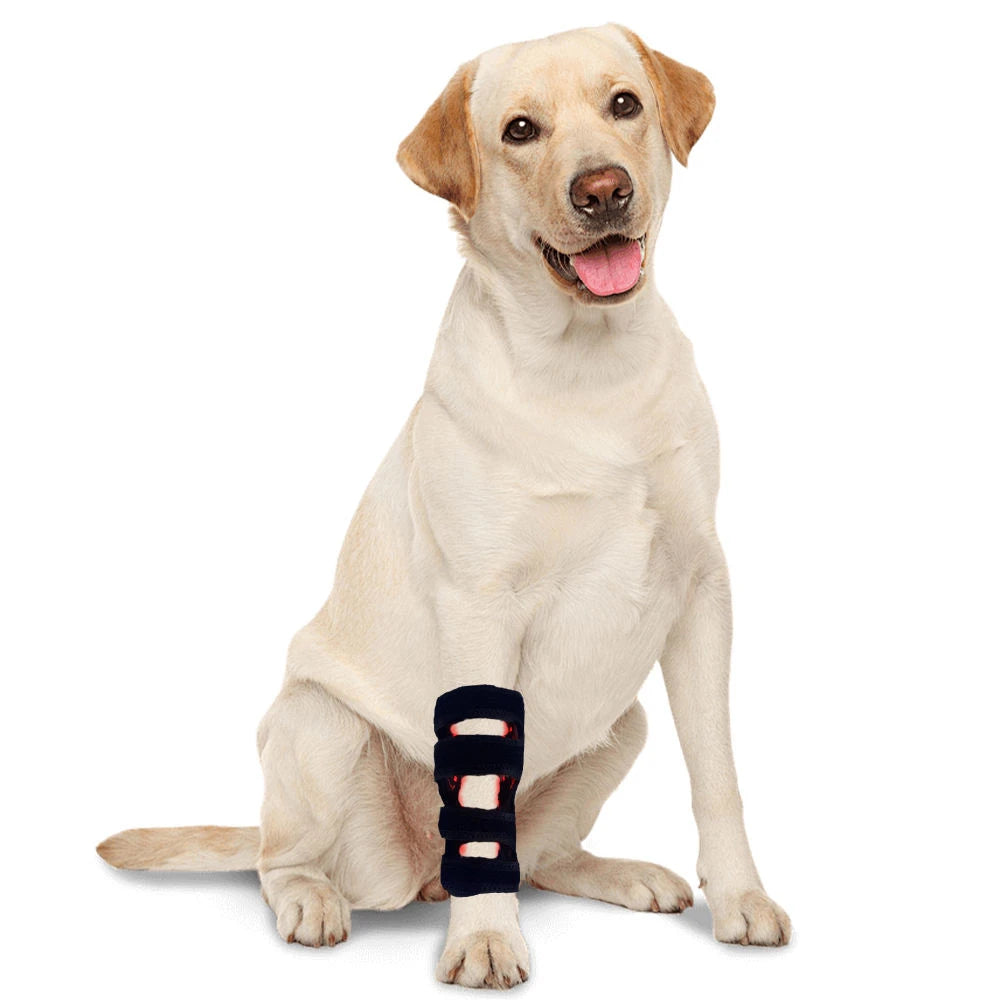 Dog Leg Red Light Wrap 660nm 850nm Wireless LED Pet Care Pet Light Therapy Wrap Qst