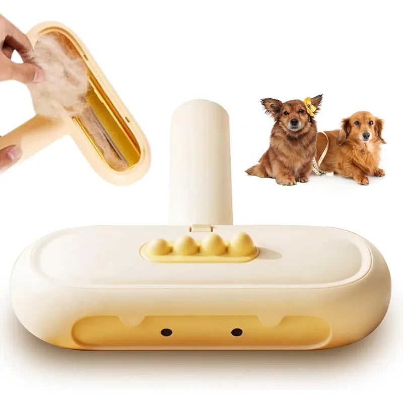 Reusable Pet Hair Remover – Furniture, Sofas & Carpets Pet Hair Remover Qme