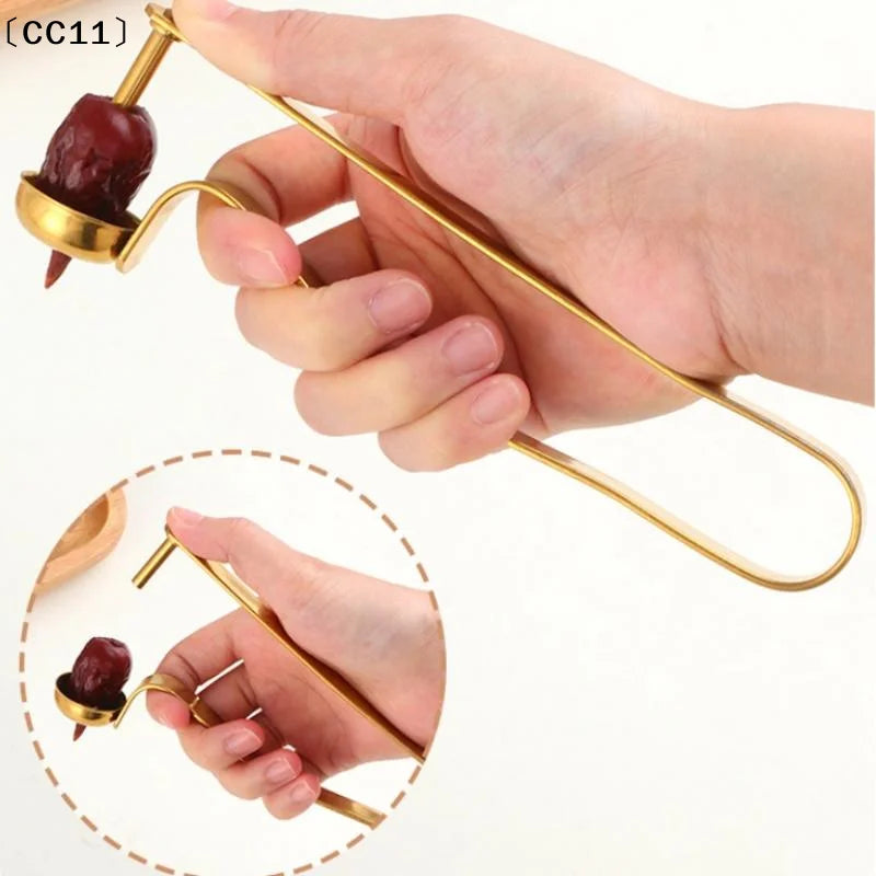 Stainless Steel Cherry & Jujube Pitter – Easy Core Removal Fruit Pitter Tool Qme