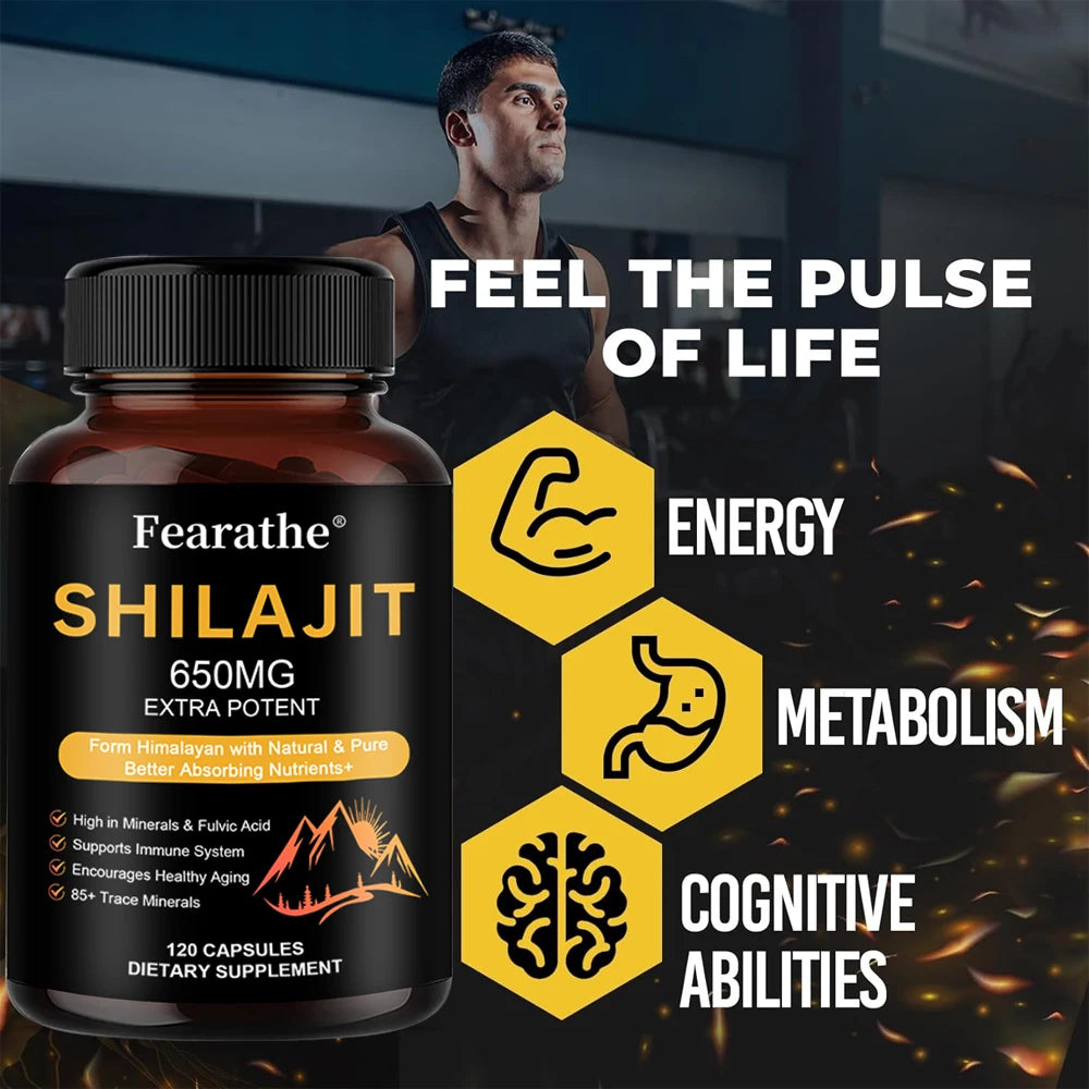 Himalayan Shilajit Capsules with Ginseng & Ashwagandha 60ct Herbal Supplement Qst