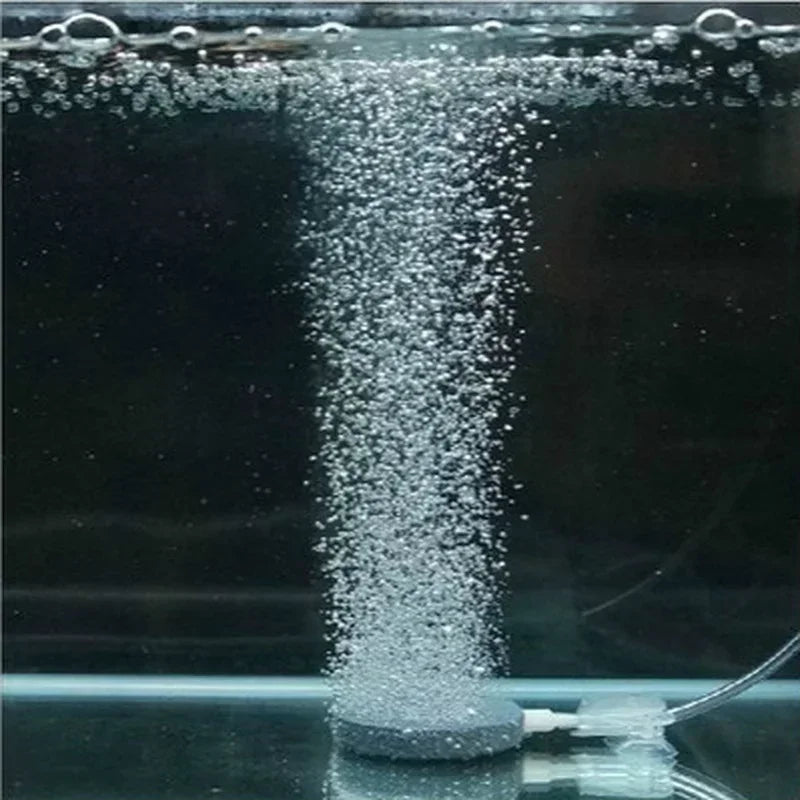 Air Bubble Stone Disk Aquarium Aerator 40mm – Hydroponic Oxygen Aquarium Air Stone Qme
