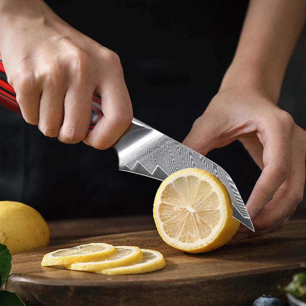 DASHWAY 3" Damascus Steel Paring Knife – VG10, G10 Handle Damascus Paring Knife Qst