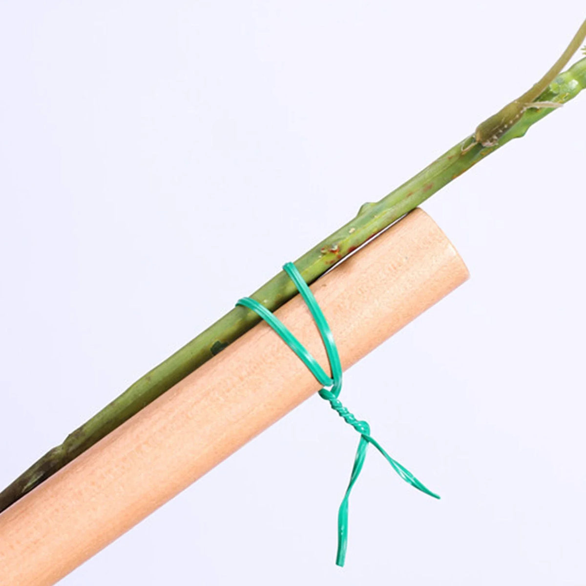 Reusable Green Garden Twist Ties with Cutter – 20–100m Garden Twist Ties Qme