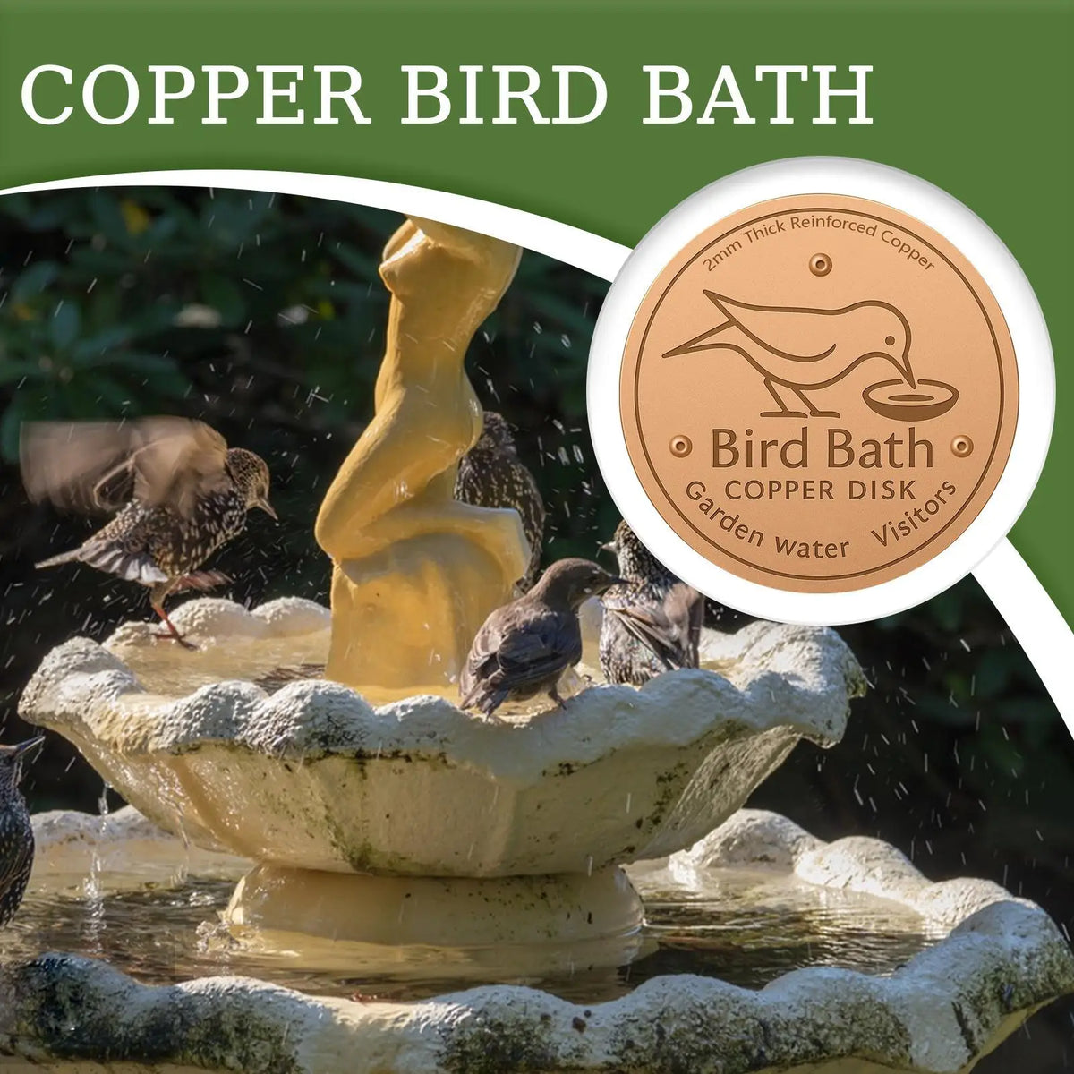 Copper Bird Bath Disk – Water Fountain Cleaning Purifier Bird Bath Accessory Qme