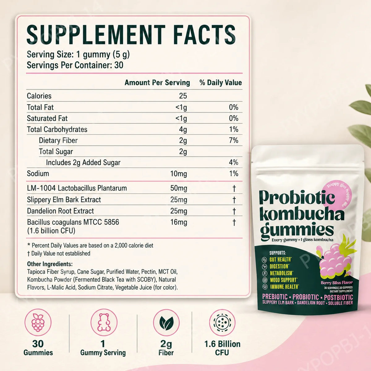 Probiotic Kombucha Gummies | Prebiotic Postbiotic – 30ct Probiotic Gummies Qst