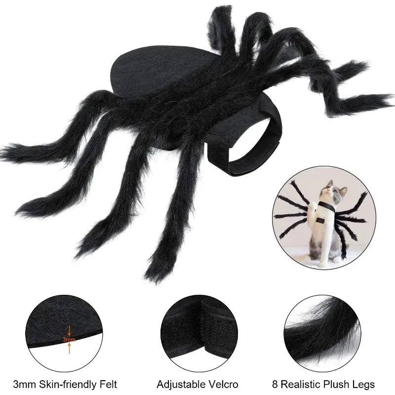 Halloween Spider Costume for Small Dogs & Cats – Black Pet Halloween Costume Qme