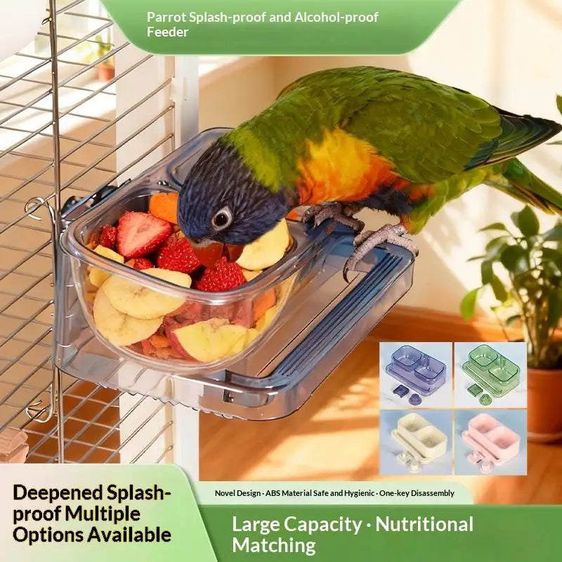 Large Double Compartment Parrot Feeding Bowl | Bird Feeder Dish Bird Feeder Bowl Qme