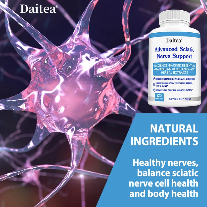 Nervous System B-Vitamin Capsules – B2 B6 B9 B12 | 120 Count B-Vitamin Supplement Qst