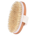 Dry Body Brush – Natural Bristle Exfoliating & Massage Tool Dry Body Brush Qme 1Pc A