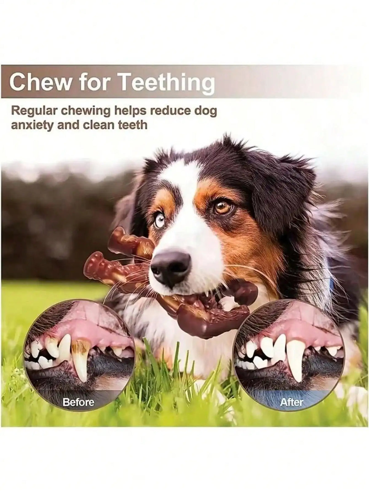 Beef Flavored Dog Chew Toy for Aggressive Chewers | Qme Dog Chew Toy Qme