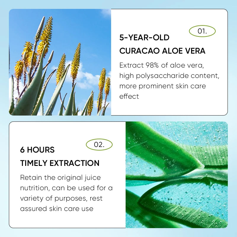 Aloe Vera Lip Balm – Hydrating, Nourishing & Moisturizing Lip Balm Qst