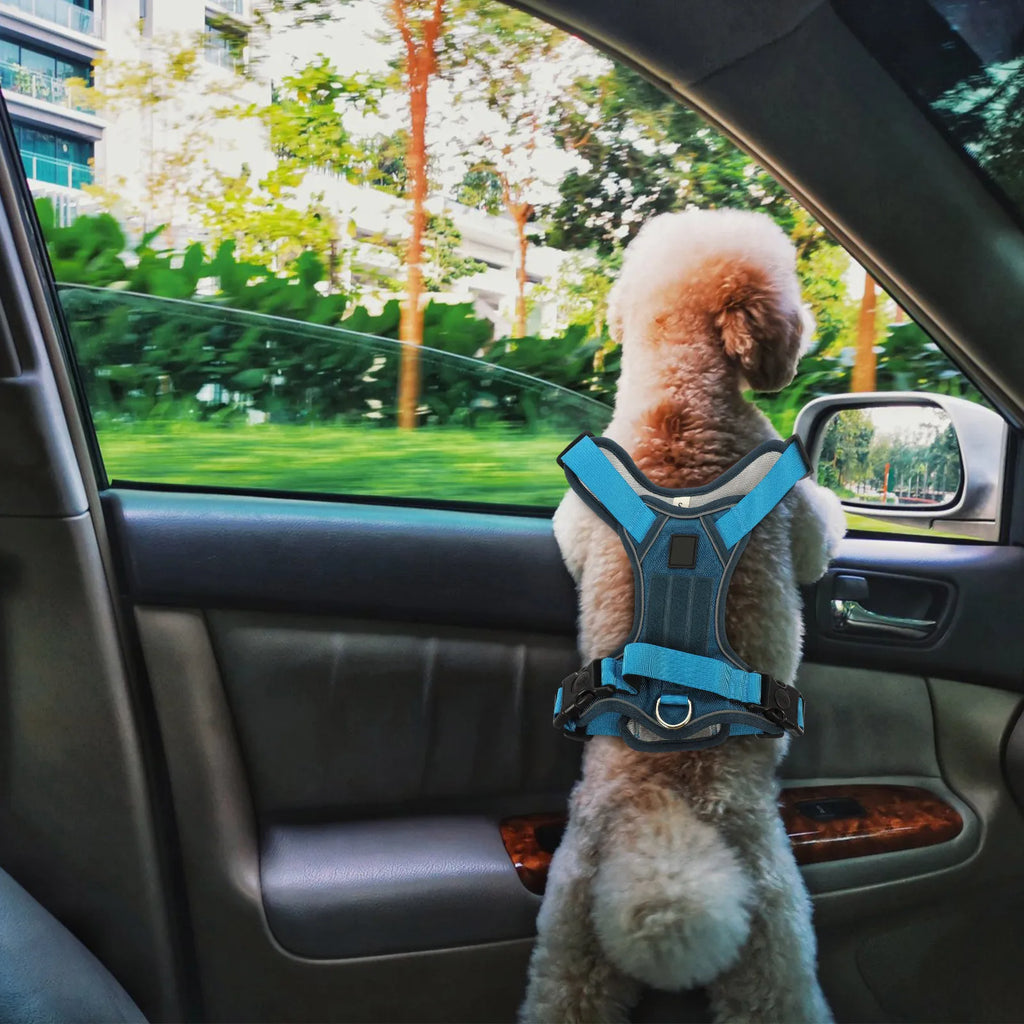 Adjustable Vest Harness for Small Dogs & Puppies | Oxford Dog Vest Harness Qme