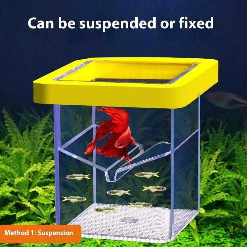 Transparent Floating Fish Breeding Isolation Box – Aquarium Fish Breeding Box Qst