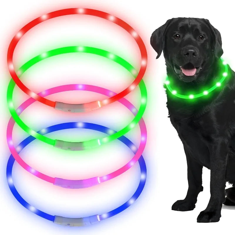 LED USB Rechargeable Dog Collar – Adjustable Safety Light LED Dog Collar Qme