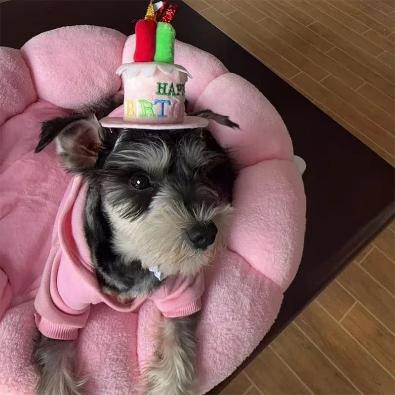 Adjustable Birthday Cake Hat for Dogs & Cats | Cute Pet Cap Pet Birthday Hat Qme