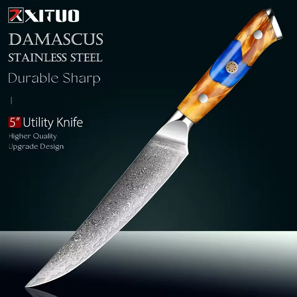 Xituo 5" Damascus Steel Utility Knife – Full Tang Wood Handle Kitchen Utility Knife Qst