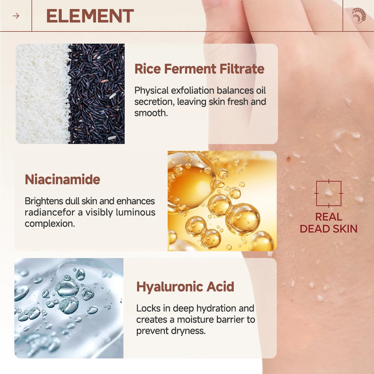 Rice & Black Rice Exfoliating Gel – Deep Cleanse & Moisturize Face Exfoliating Gel Qst