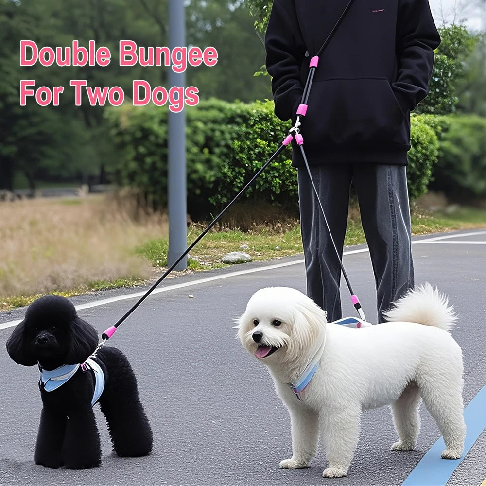 Reflective Nylon Dog Leash – Dual Handle & 360° Hook Dog Leash Qst