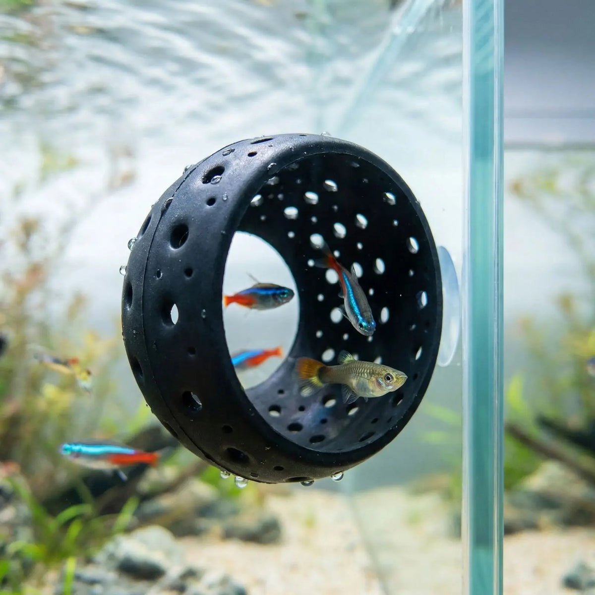 Betta Fish Hide Tunnel Cave with Suction Cup – Shrimp Hideout Aquarium Hideout Cave Qme