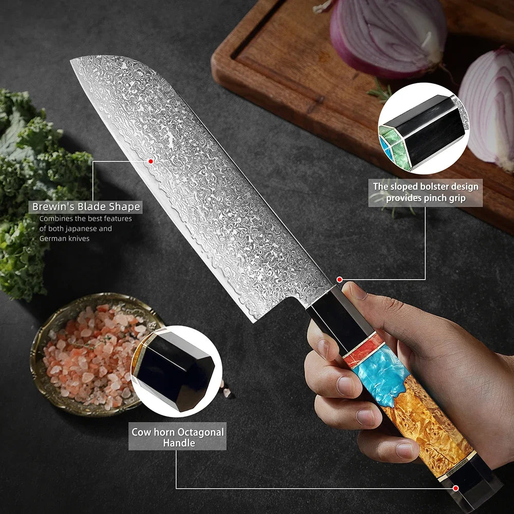 Damascus Steel Kitchen Knife Set – Santoku & Paring Knives Kitchen Knife Set Qst