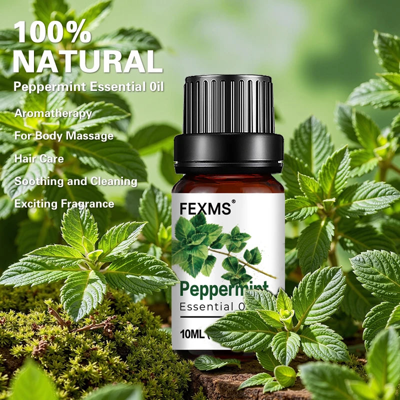 Peppermint Essential Oil – 100% Pure Natural Aromatherapy Essential Oil Qst