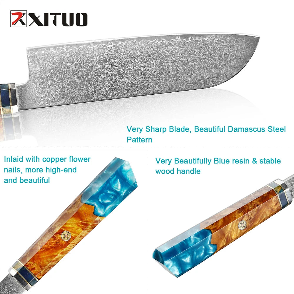 XITUO Damascus Santoku Knife – 67-Layer Japanese Steel & Wood Handle Santoku Kitchen Knife Qst