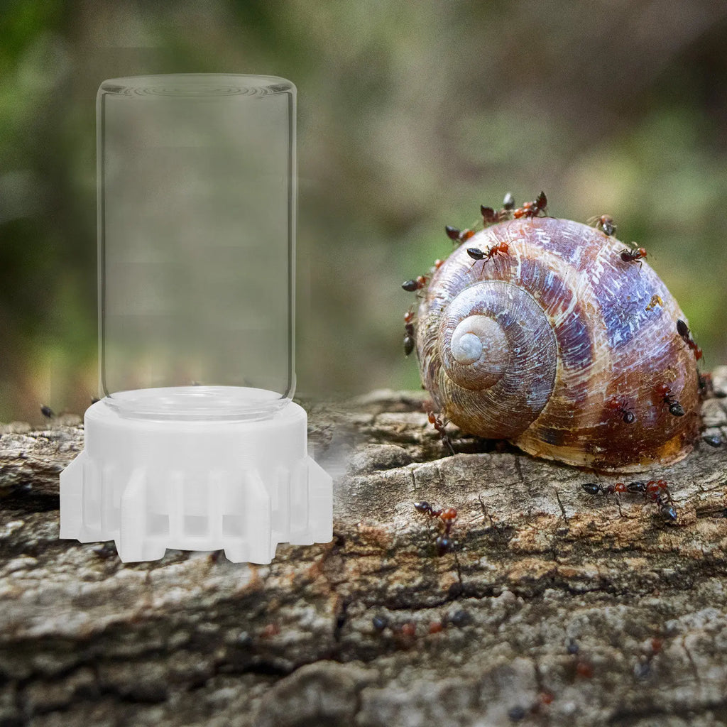 Reusable Ant Waterer Cup – Stable Ant Farm Feeder Ant Farm Feeder Qme