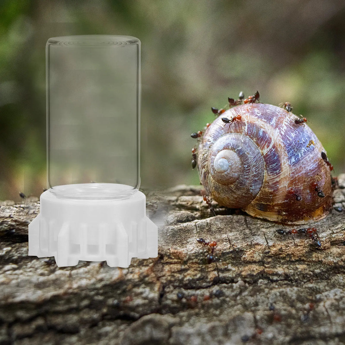 Reusable Ant Waterer Cup – Stable Ant Farm Feeder Ant Farm Feeder Qme