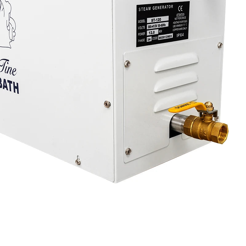 21kW Wet Steam Generator for 18–24m³ Sauna & Steam Room Steam Bath Generator Qst