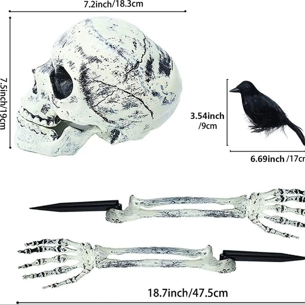 Realistic Skull Skeleton Halloween Prop – Head & Arm Decor Halloween Prop Decoration Qme