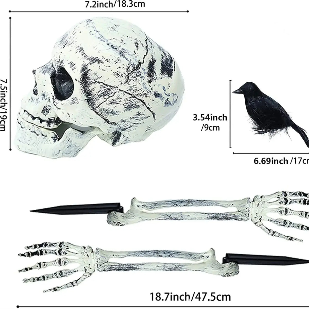 Realistic Skull Skeleton Halloween Prop – Head & Arm Decor Halloween Prop Decoration Qme