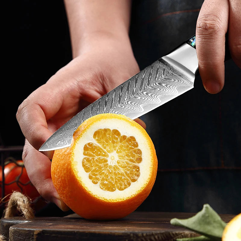 XITUO Damascus Paring Knife 3.5" Japanese VG10 Fruit Knife Damascus Paring Knife Qst