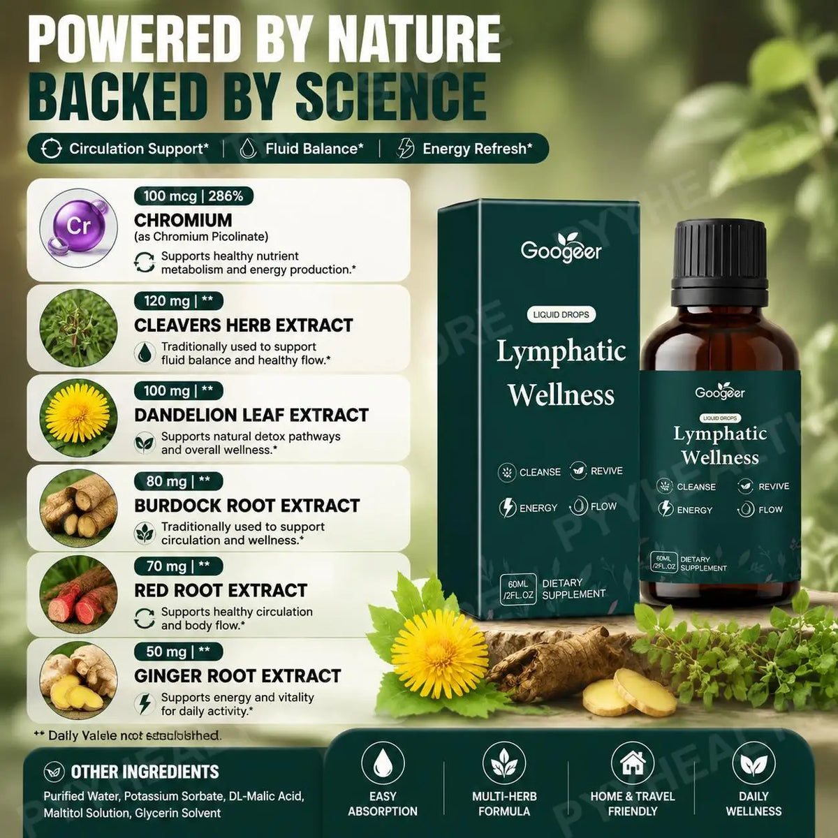 Herbal Wellness Liquid Drops – Dandelion Burdock Ginger Blend 60ml Herbal Liquid Drops Qst