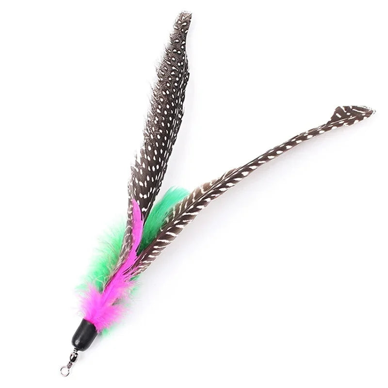 3-Pack Feather Wand Replacement Heads – DIY Cat Teaser Toy Cat Teaser Toy Qme