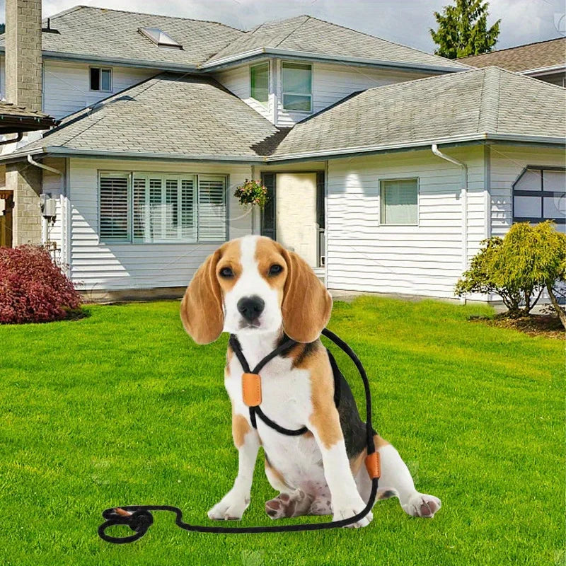 Adjustable Nylon Dog Harness Leash | Chest Strap, 6 Colors Dog Harness Leash Qme